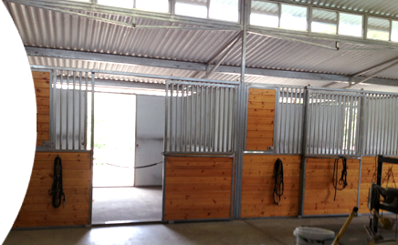 Sonoma County Horse Boarding in Sebastapol. It is a safe, private facility that includes veterinary services, horse care, and a maintained arena.