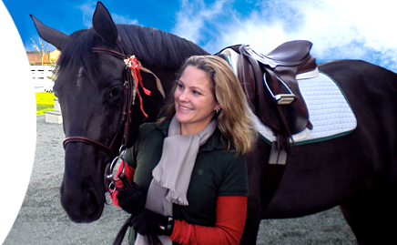 Contact Sorella Ranch horse boarding