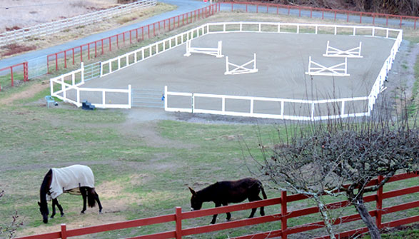 200 x 90 foot all weather arena with excellent footing. Automatic watering system and dragged daily.